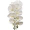 31" White Phalaenopsis Orchid Stem - Realistic Silk Blooms, Elegant Design, Ideal for DIY Arrangements, Home & Event Decor - All-Season Use, Floral Home by Artificial Flowers